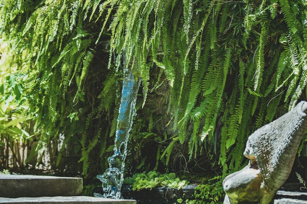 Фото Aanari Hotel & SPA