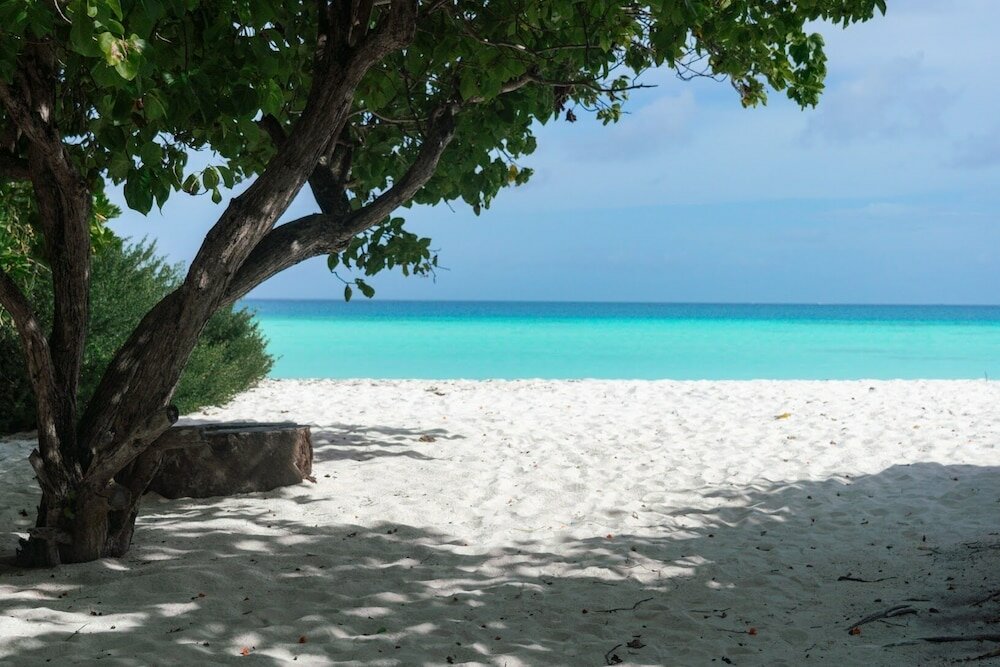 Фото Sands Grand Hotel