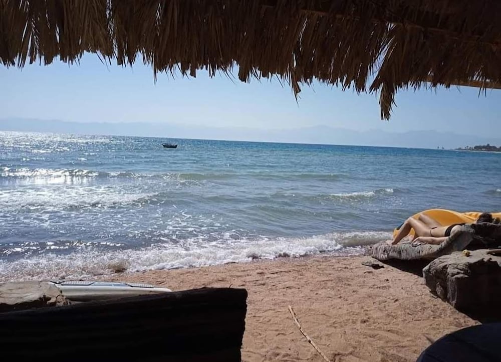 Фото White palace camp ex camp david