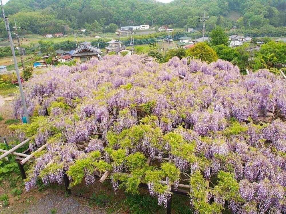 Фото Guesthouse-Lahar- Hostel