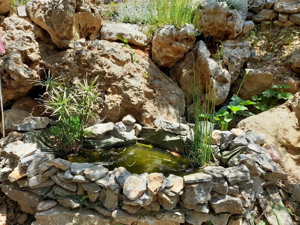 Фото Villa Kastania