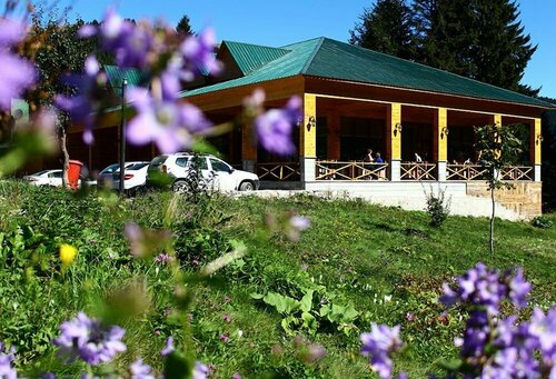 Гостиница Zitas Otel Zigana Yayla Tatil Koyu в Мачке