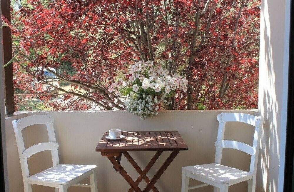 Фото Vamos Fabrica Farm