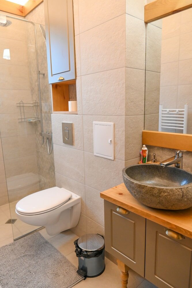 Фото Villa Raphael near Pirin Golf Resort