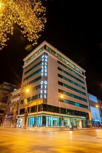 Гостиница Halley Hotel