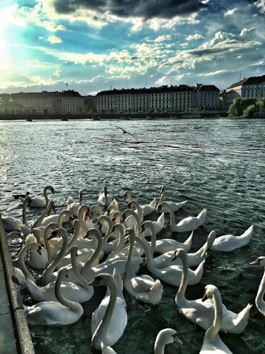 Внешний вид отеля Hôtel Les Armures в Женеве, фото 3