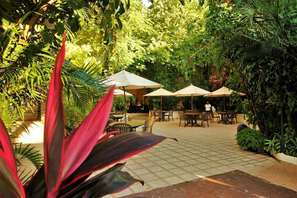 Фото Maya Tulipanes Express