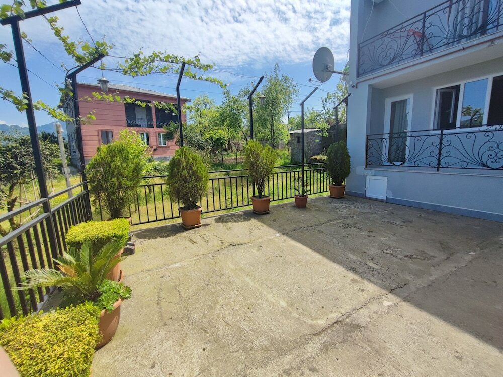 Фото Hotel Botanica