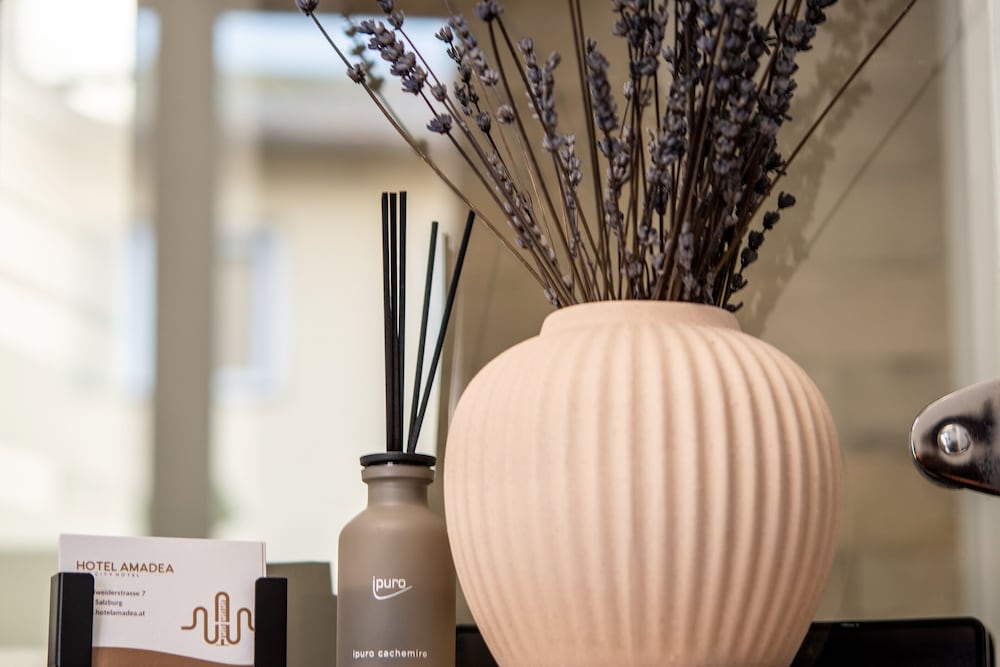 Фото Hotel Amadea