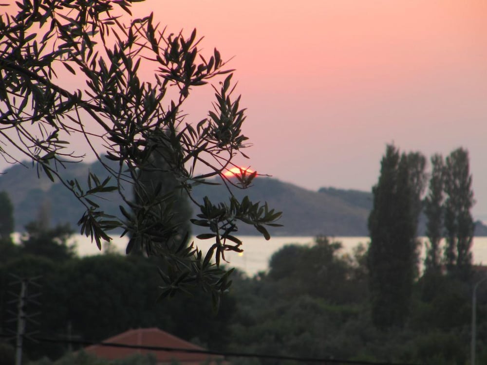 Фото Lassia Studios