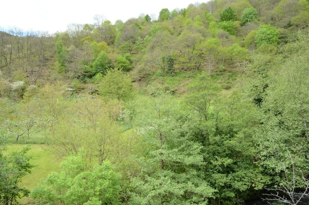 Фото El Rincón de Limés