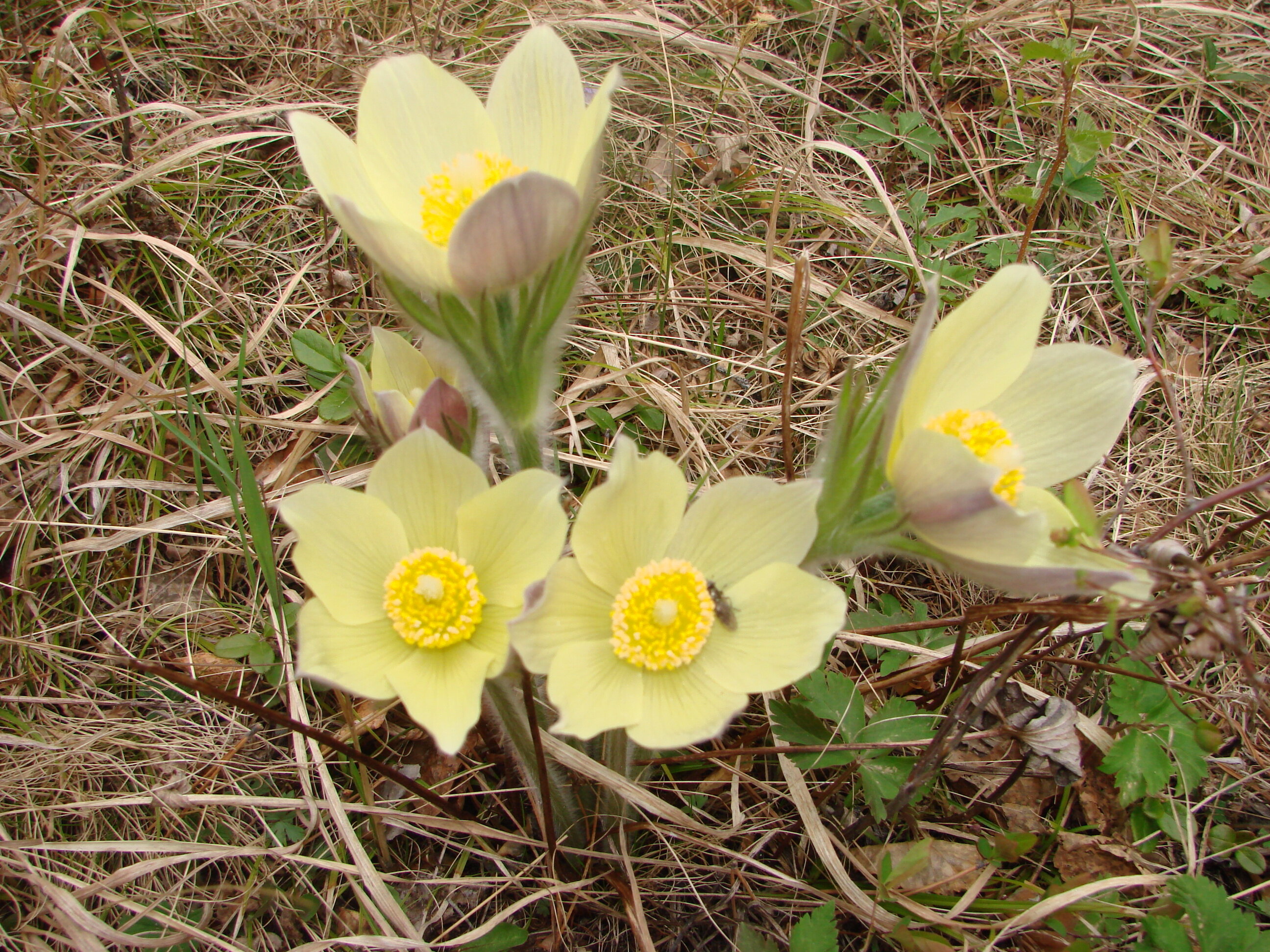 Фото Байкал Делайт