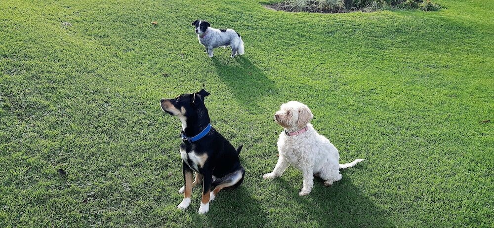 Фото Casas Rurales El Terrero