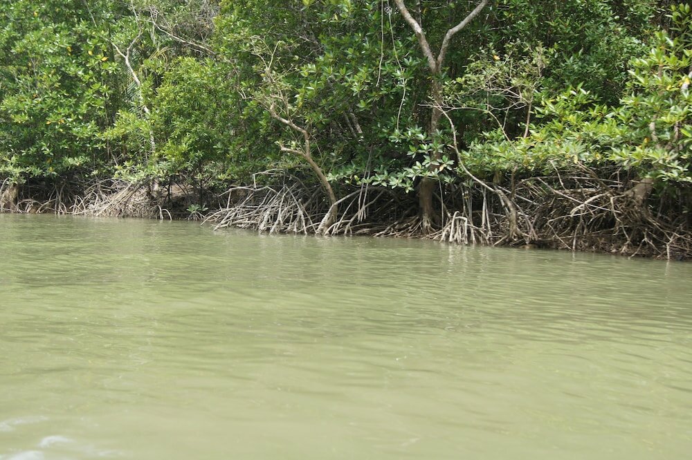 Фото The Canal Villas Khaolak