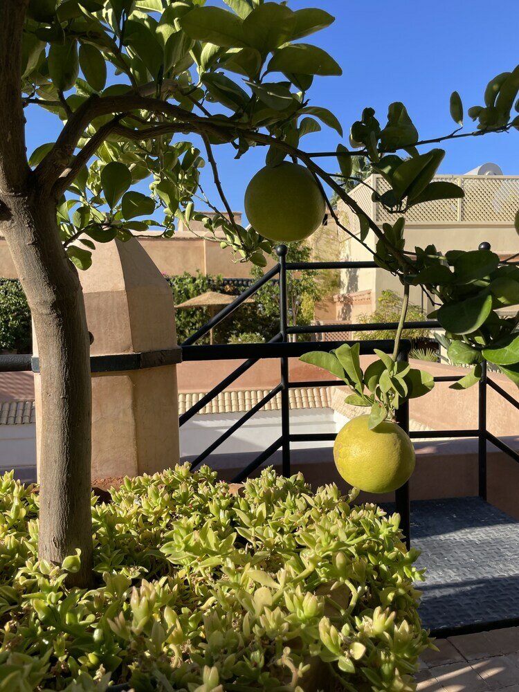 Фото Riad Zouhour