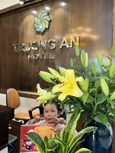 Гостиница Truong An Hotel в Хайзыонге