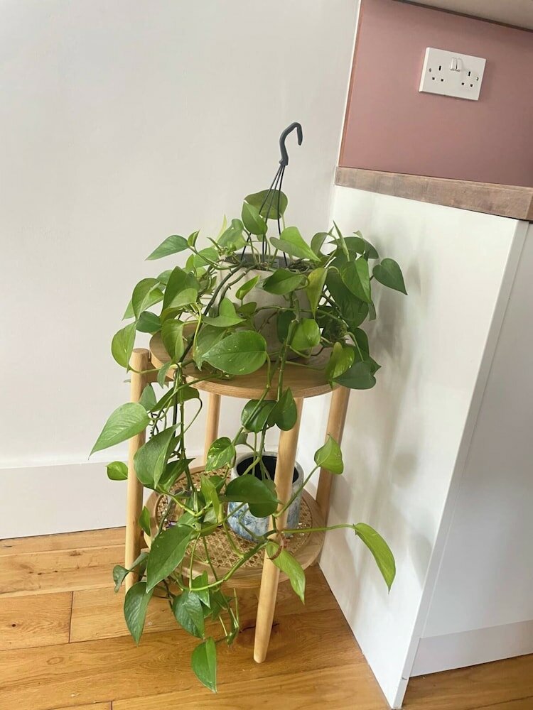 Фото Bright & Beautifully Decorated 1bd Flat - Brixton