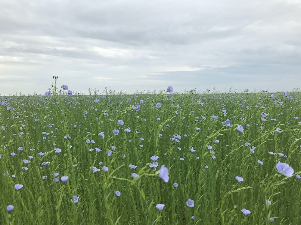 Фото Parc Beausejour Dieppe