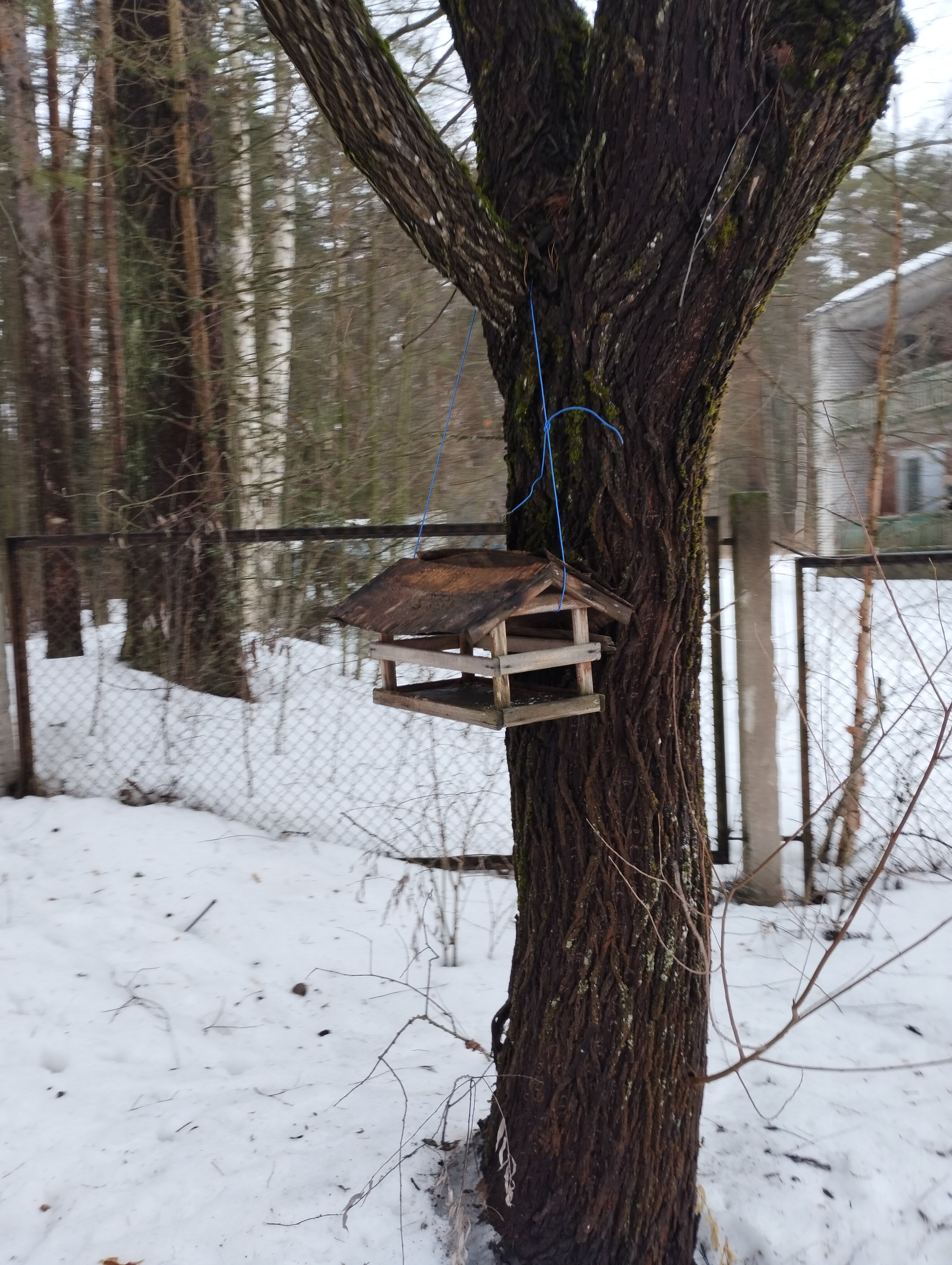 Фото Театральный