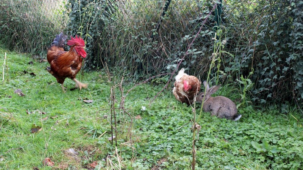 Фото Monte Baserria