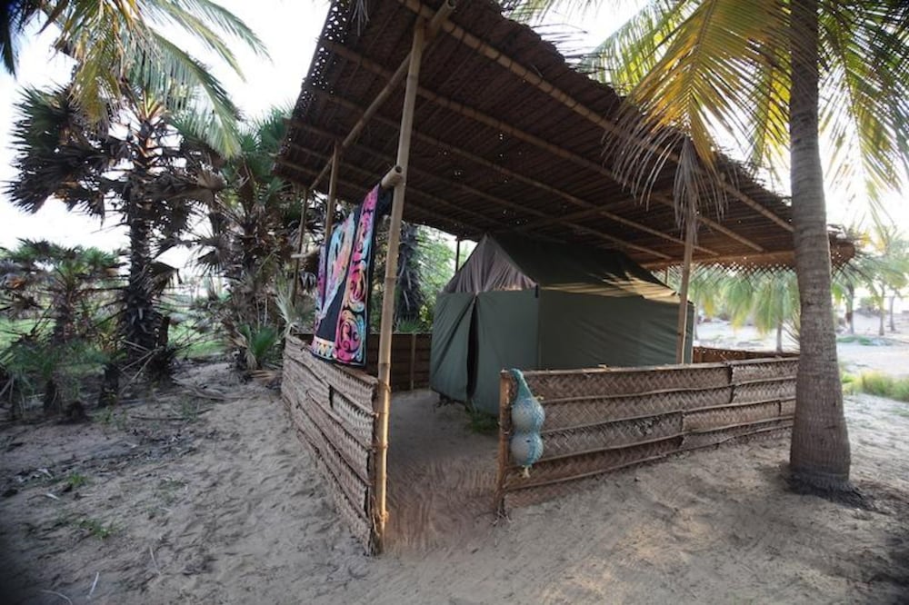 Фото Sun Burns Factory