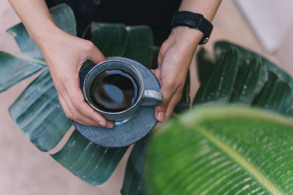 Фото The Nest Resort