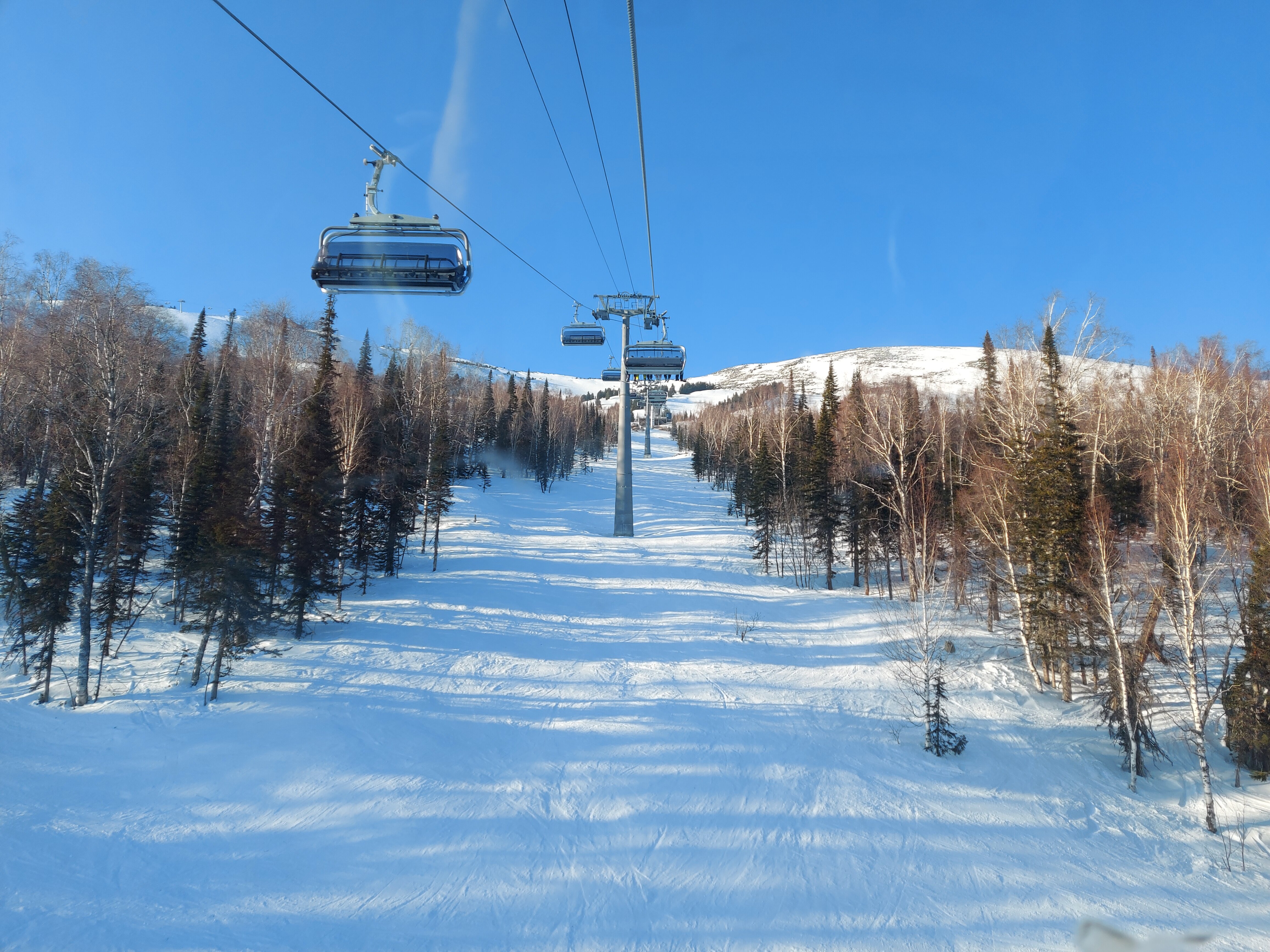 Фото Вертикаль