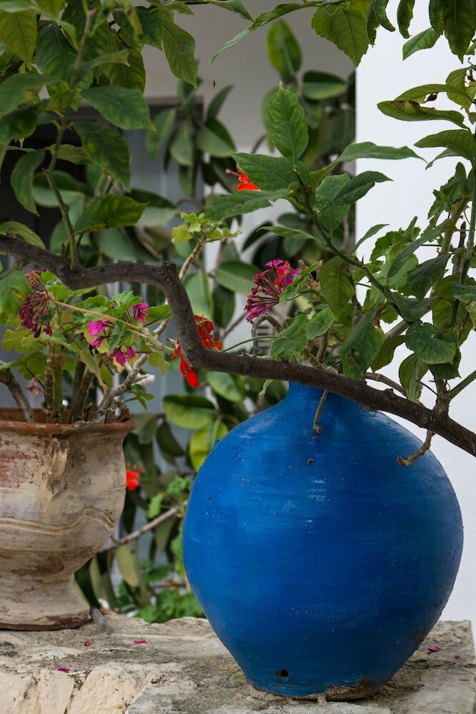 Фото Roof garden Seaside lux Home