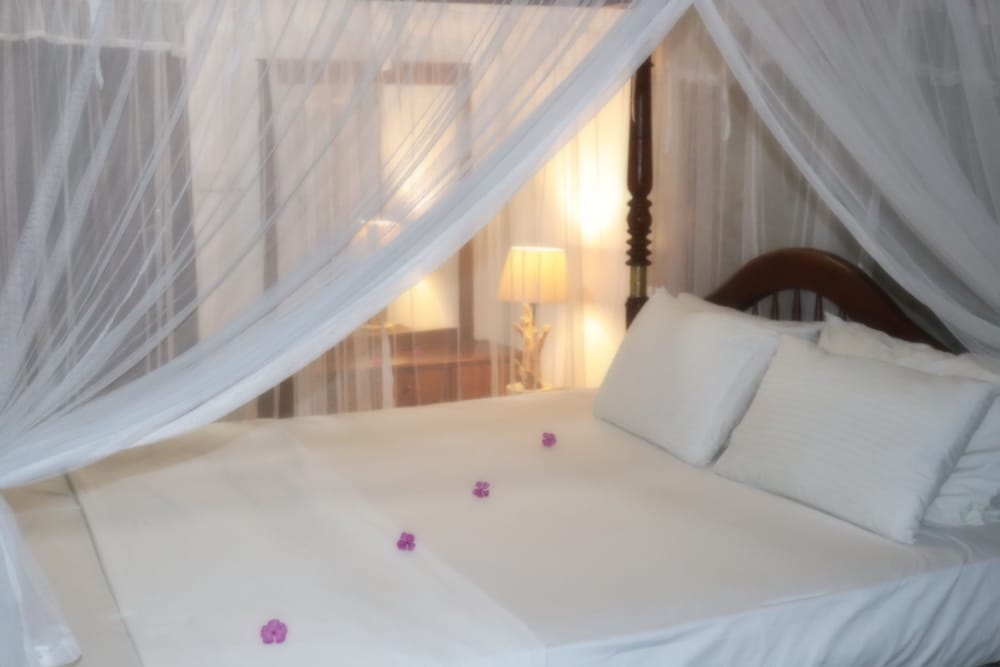 Фото Amadeo Beach Resort