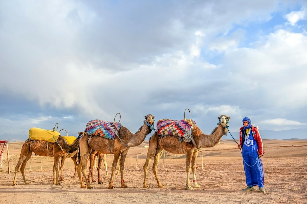 Фото Agafay Pearl Camp