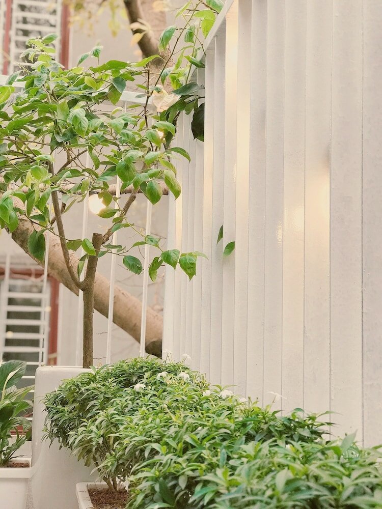 Фото Esme Homestay - Hostel