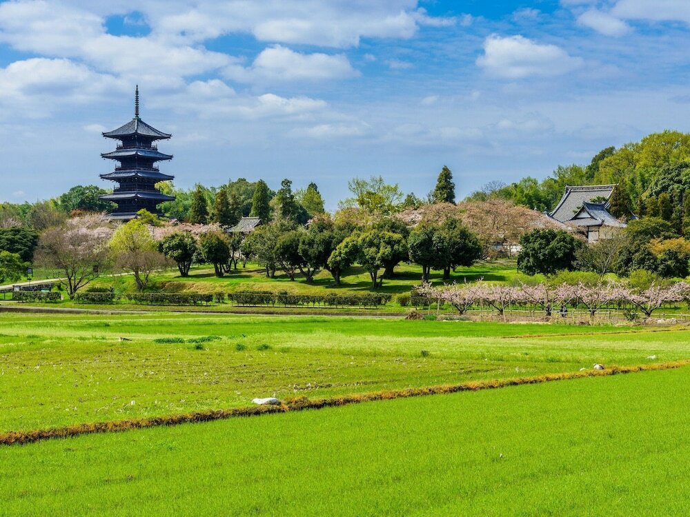 Фото Three Wellness