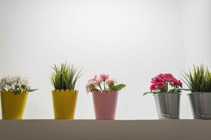 Апартаменты Welcoming Koukaki Home by Cloudkeys