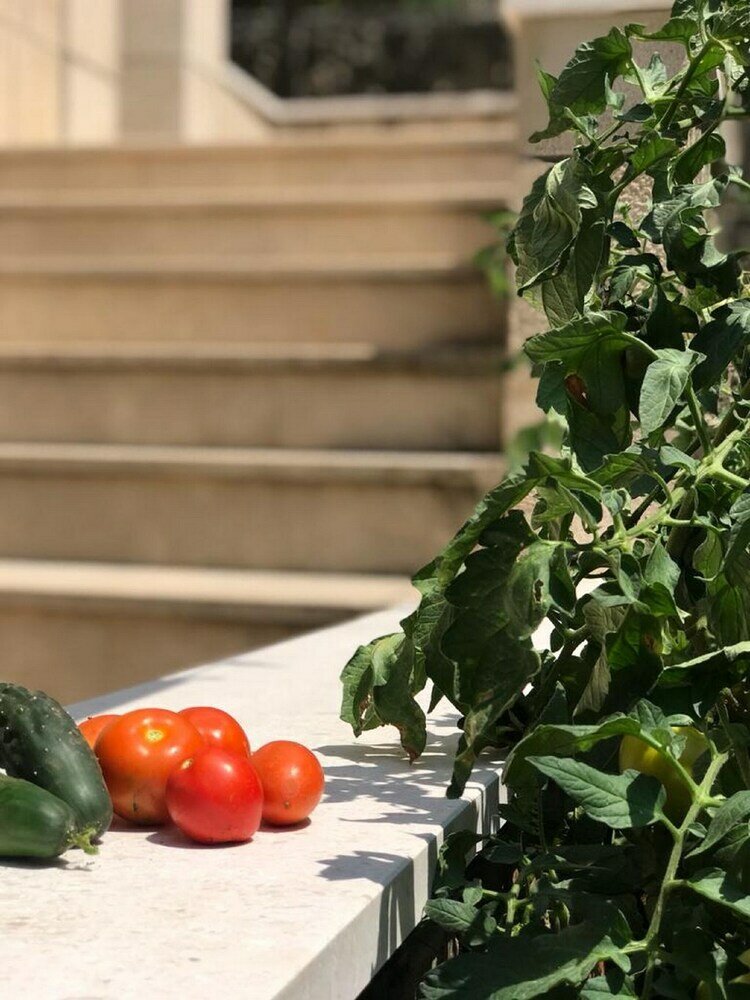 Фото Holiday Home Island Gem