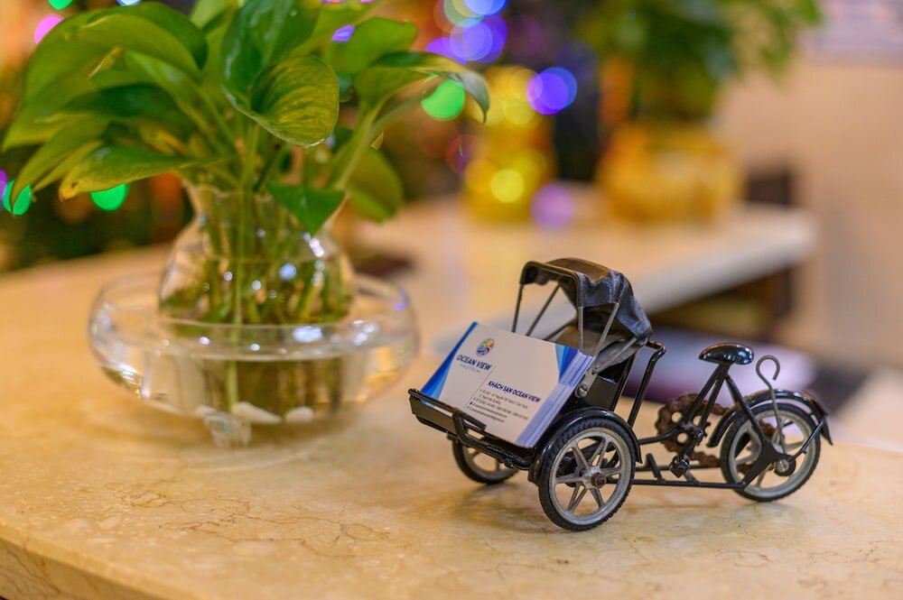 Фото Ocean View Danang Hotel