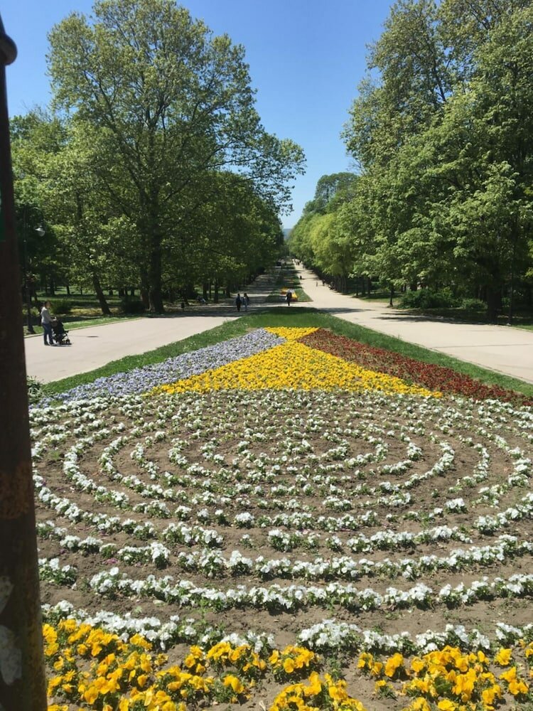 Фото Hair of the Dog Hostel