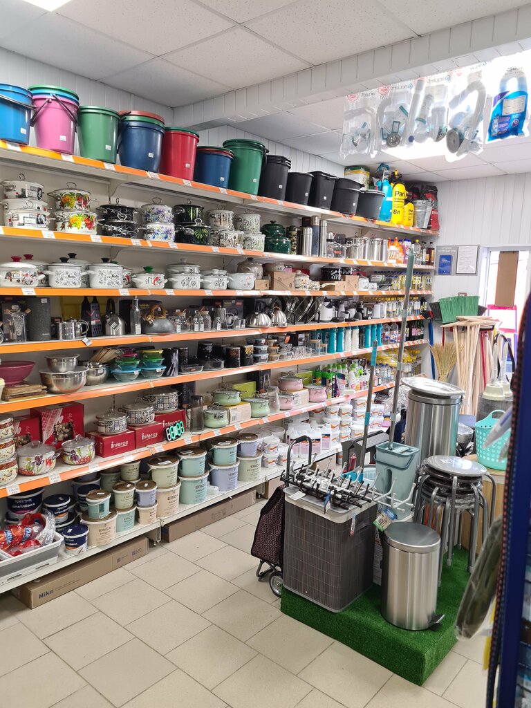 Household goods and chemicals shop Хозмаг, Mikhaylovsk, photo