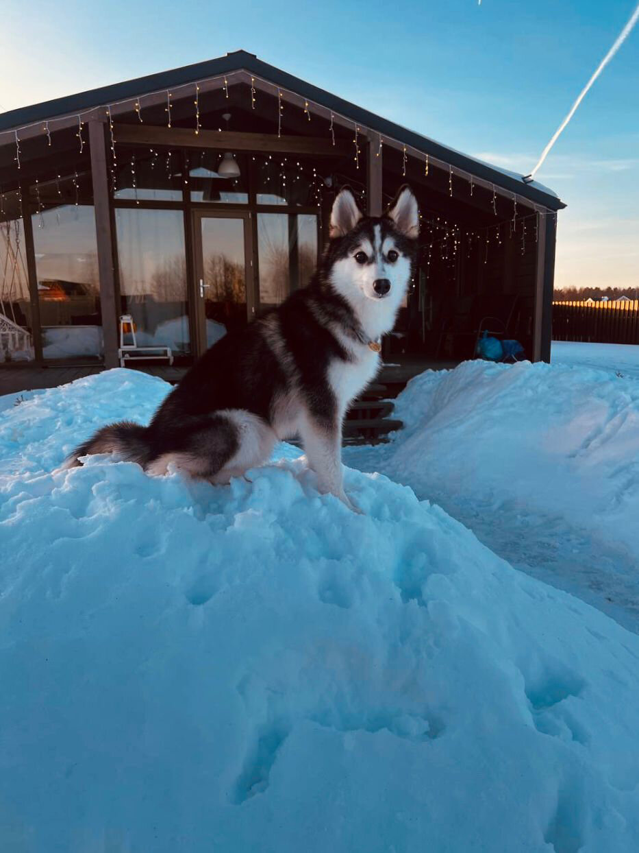 Фото Каприот