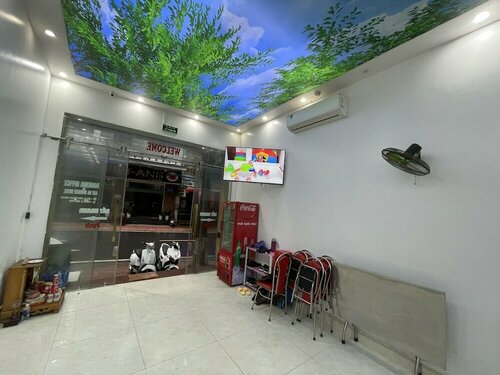 Гостиница Tuan Ha Boutique Cat Ba