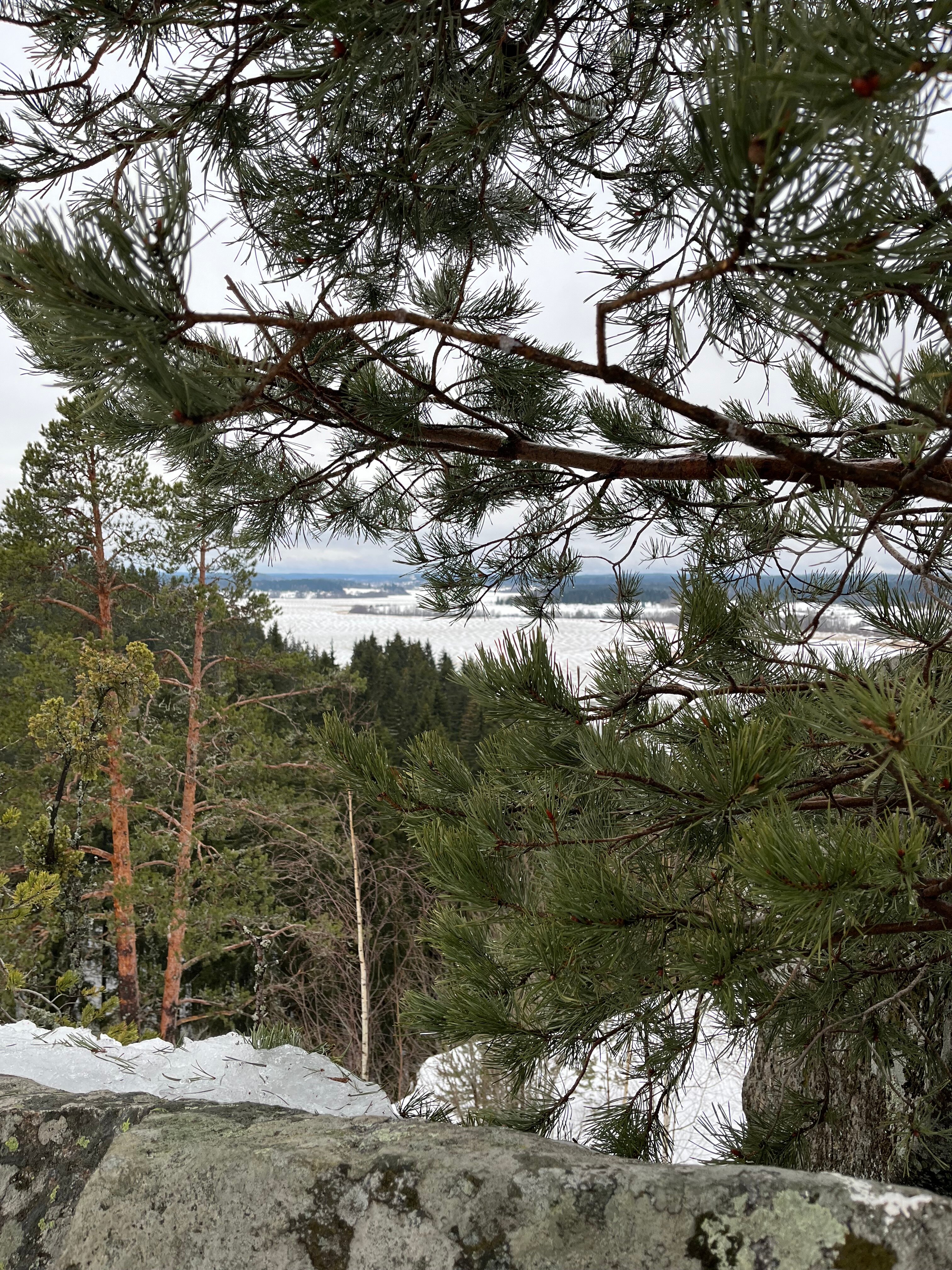 Фото Хутор Тохмайоки