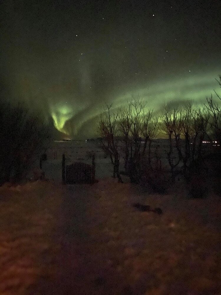 Фото Prestshús 2 Guesthouse