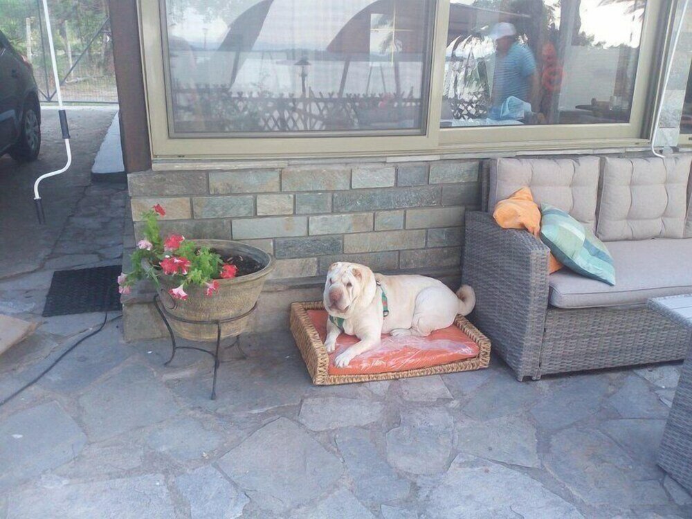 Фото Beachfront house with amazing sea view