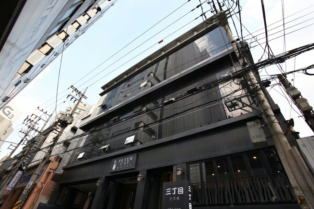 Фото Shinchon Peter Cat