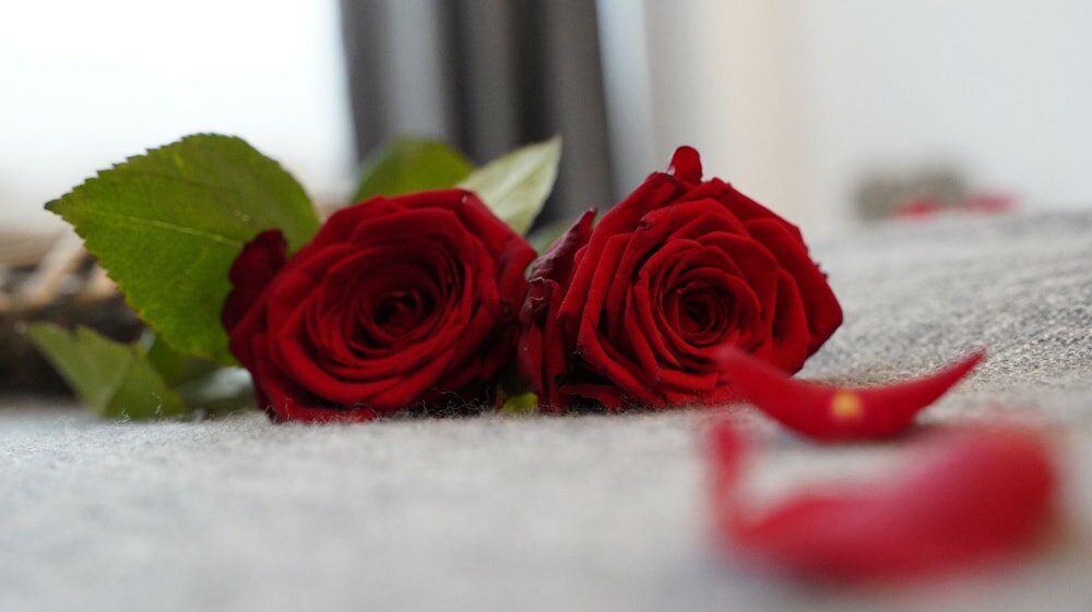 Фото Amical Hotel Hagen