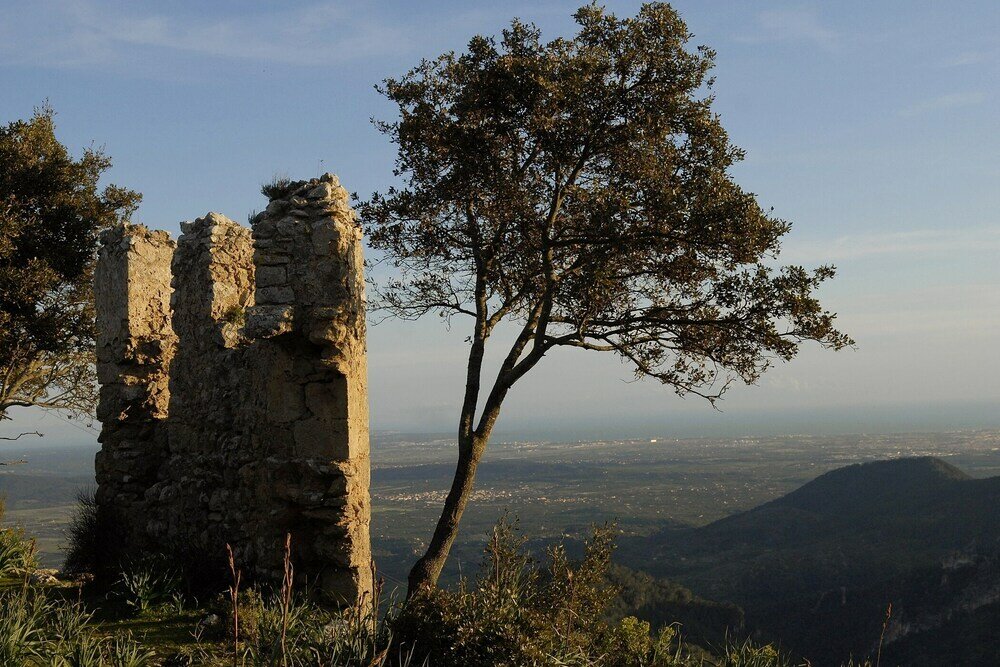 Фото Alaró Natura Rural Suites