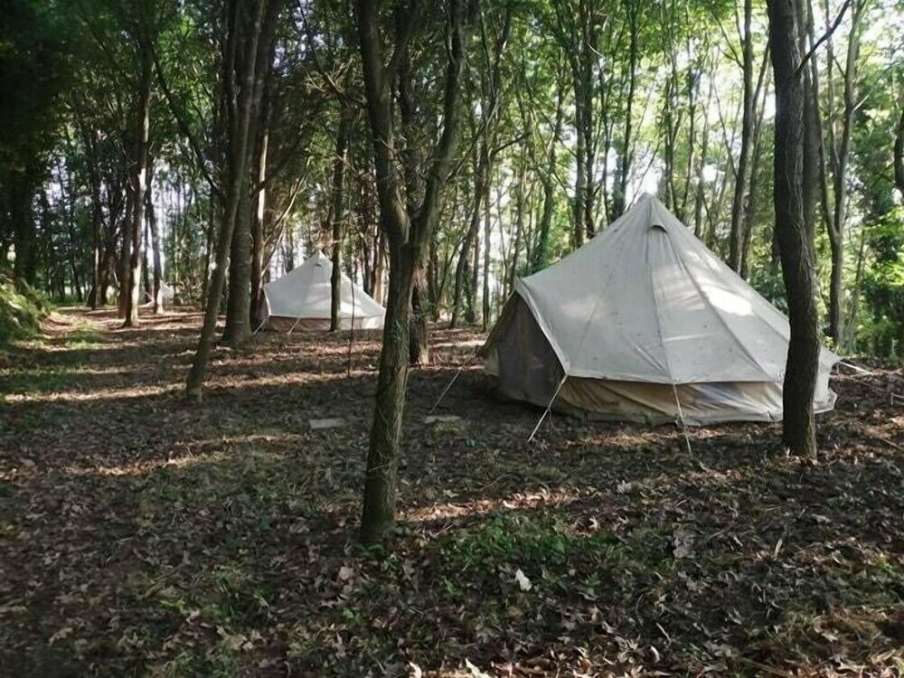 Фото Eco-hostel Quinta das Relvas