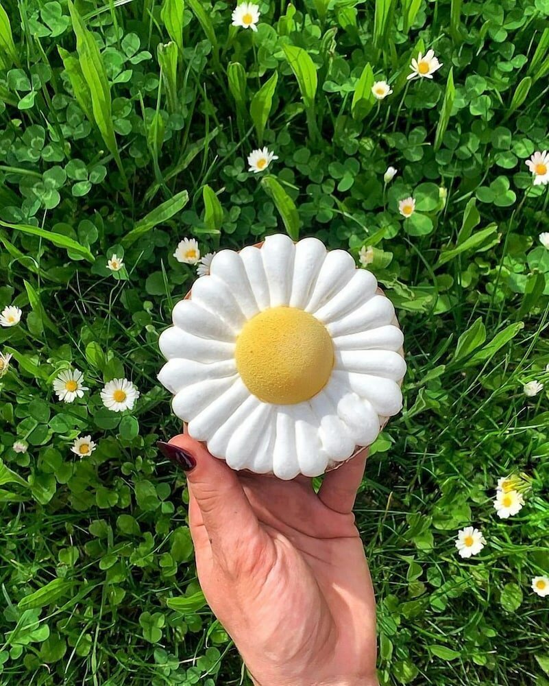 Фото 212316336475