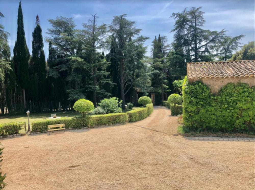 Фото Masia Mimosa