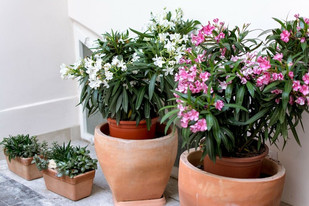 Фото Pension Corto