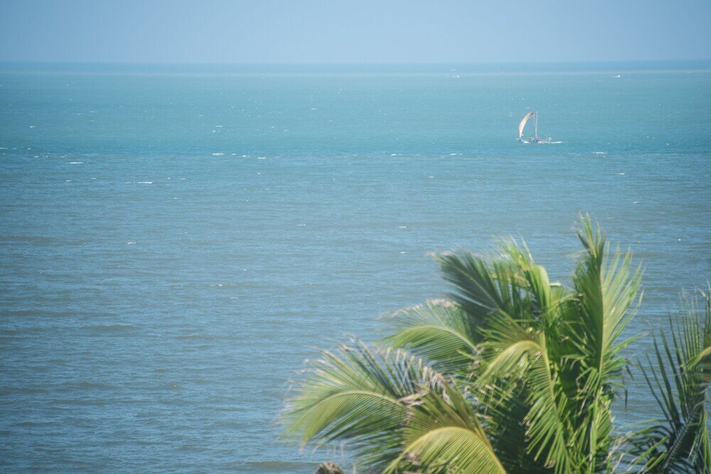 Фото Pledge Scape